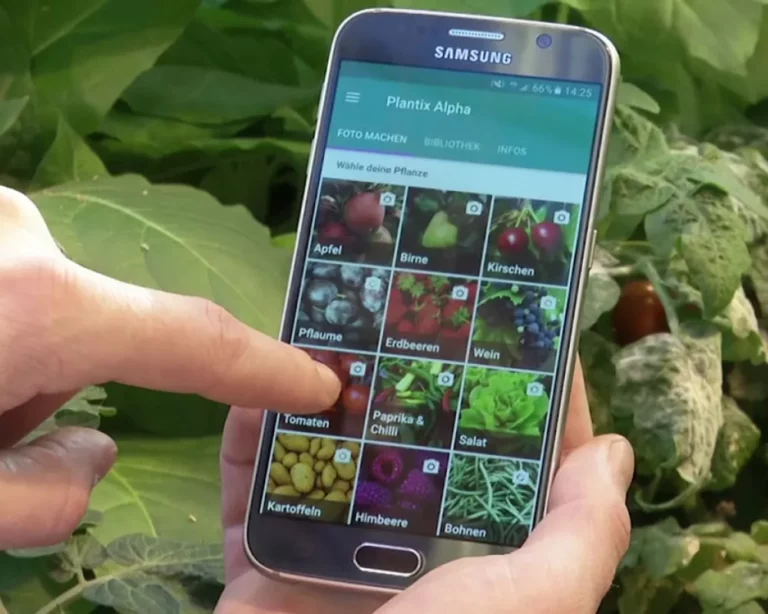 Apps for Detecting Plant Diseases